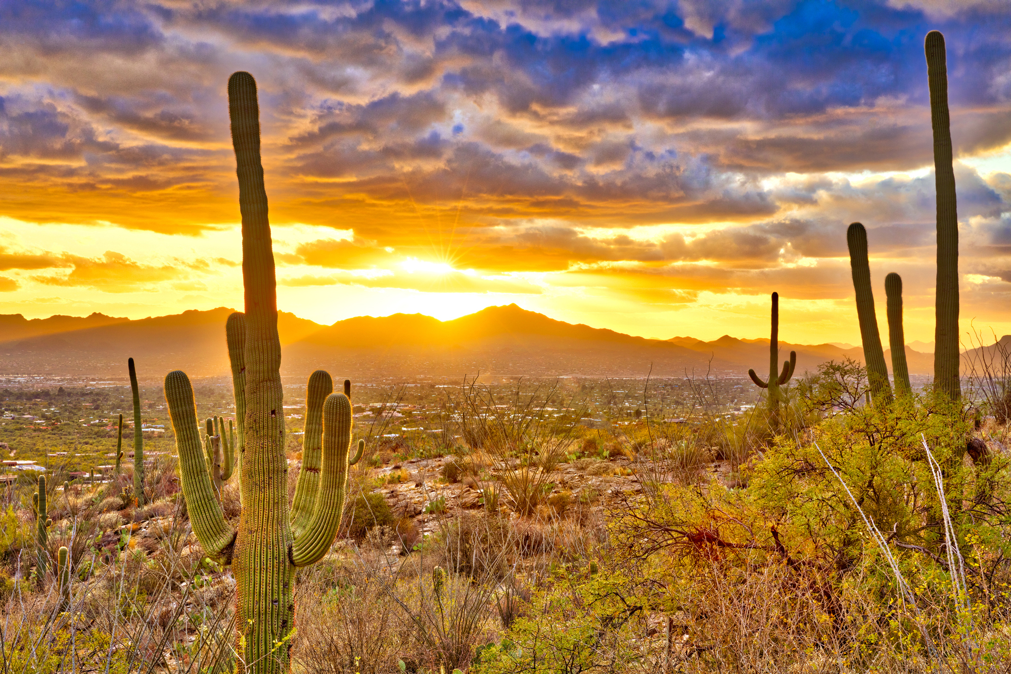Sunset over suburb of Tucson.