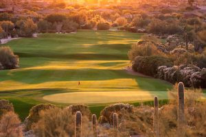 Beautiful Backlit Desert Golf Course in Phoenix Arizona